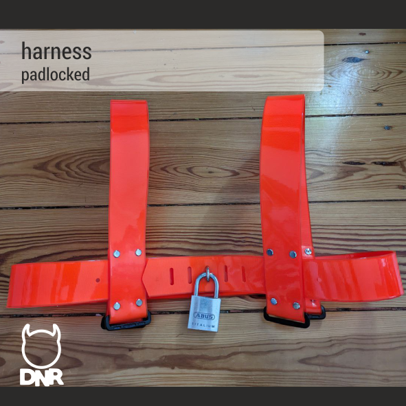 harness padlocked